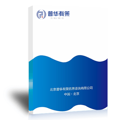 2021-2027年動力電池行業(yè)細分市場全面調(diào)研及投資發(fā)展前景分析預測報告