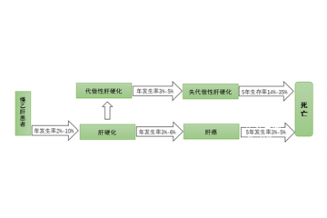 中國系全球乙肝病毒中高度流行區(qū)，用藥市場規(guī)模大（附報告目錄）