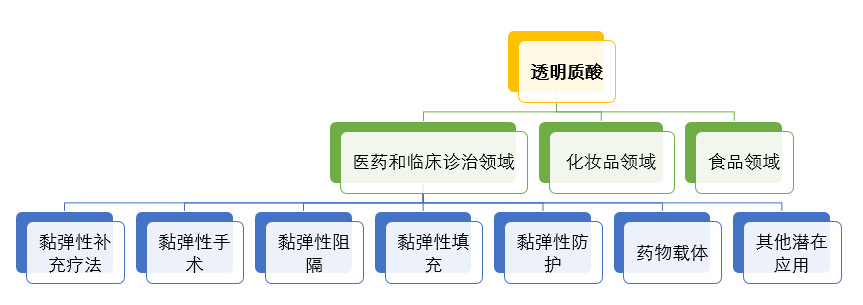 透明質酸（玻尿酸）行業(yè)下游應用領域及行業(yè)技術水平特點分析（附報告目錄）(圖1)